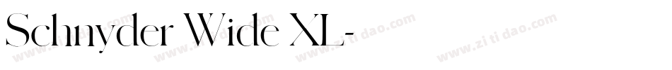 Schnyder Wide XL字体转换